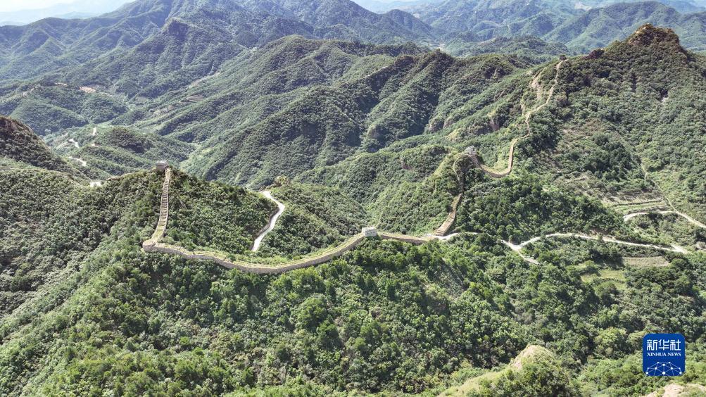 mg登录注册